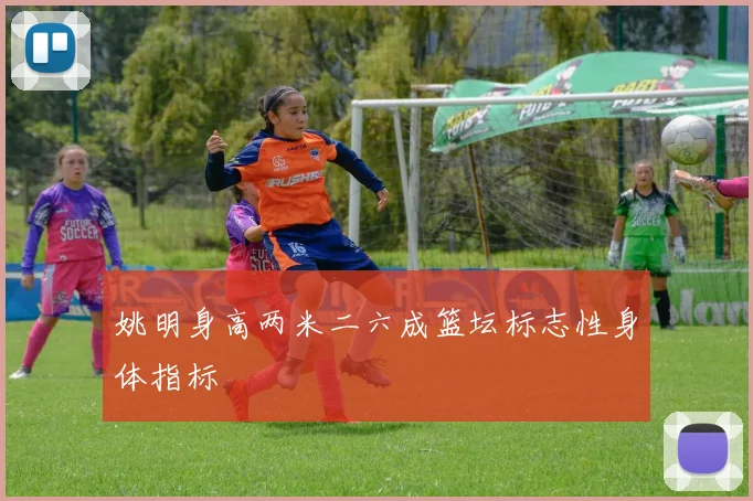 姚明身高两米二六成篮坛标志性身体指标