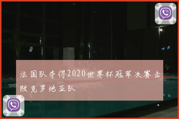 法国队夺得2020世界杯冠军决赛击败克罗地亚队