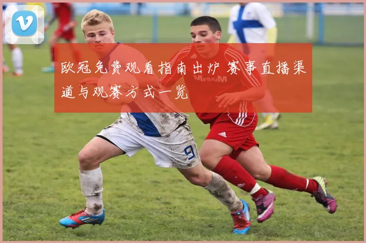 欧冠免费观看指南出炉 赛事直播渠道与观赛方式一览