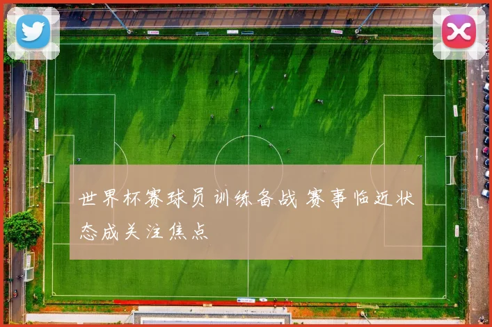 世界杯赛球员训练备战 赛事临近状态成关注焦点