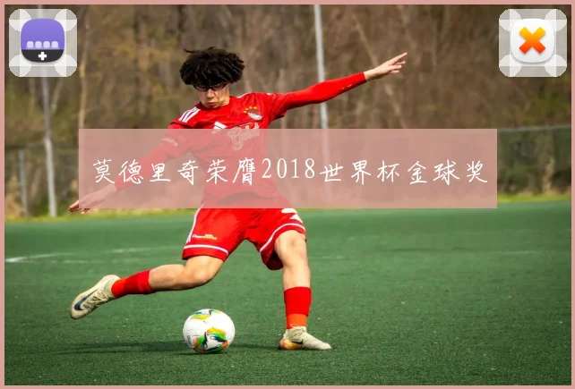 莫德里奇荣膺2018世界杯金球奖