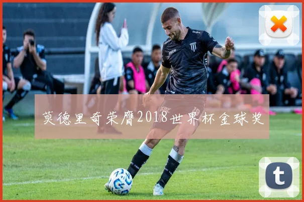 莫德里奇荣膺2018世界杯金球奖