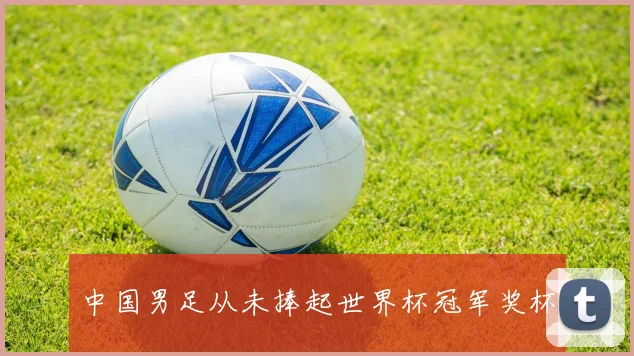 中国男足从未捧起世界杯冠军奖杯